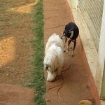 Feriado 7 de Setembro 2012