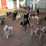 Feriado 7 de Setembro 2012