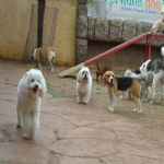 Feriado 7 de Setembro 2012