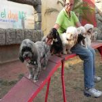 Feriado 7 de Setembro 2012