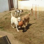 Feriado 7 de Setembro 2012