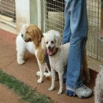 Feriado 7 de Setembro 2012