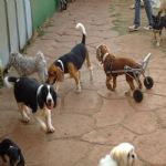 Feriado 7 de Setembro 2012