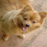 Feriado 7 de Setembro 2012