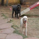 Feriado 7 de Setembro 2012