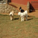 Feriado 7 de Setembro 2012