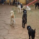 Feriado 7 de Setembro 2012