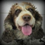 Feriado 7 de Setembro 2012