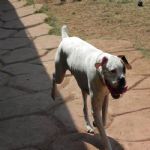 Feriado 7 de Setembro 2012