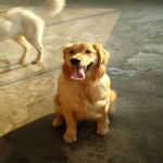 Feriado 7 de Setembro 2012