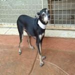 Feriado 7 de Setembro 2012