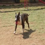 Feriado 7 de Setembro 2012