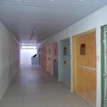 Gatil - Hospedagem de seu Gato e Silvestres