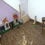 Gatil - Hospedagem de seu Gato e Silvestres