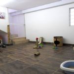 Gatil - Hospedagem de seu Gato e Silvestres