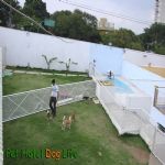 Hotel Para Cães