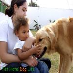 Hotel Para Cães
