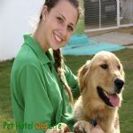 Hotel Para Cães