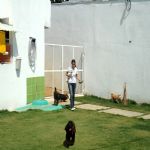 Hotel Para Cães