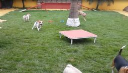 É só alegria e diversão - Parte 3