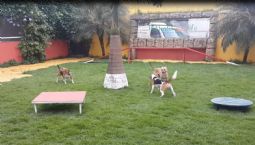 É só alegria e diversão - Parte 1