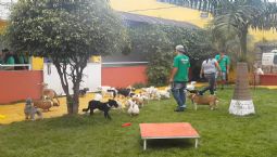 Chuva Artificial - Verão Refrescante.