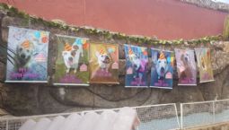 Aniversário da Galerinha - Veja a alegria desse turminha!