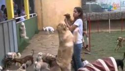 Rede TV - Leitura Dinâmica 1ª Edição - Dica para quem tem