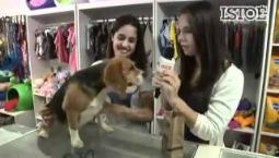 TV Isto É – Setembro