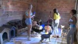 Babi e Nicole vão a festa junina canina